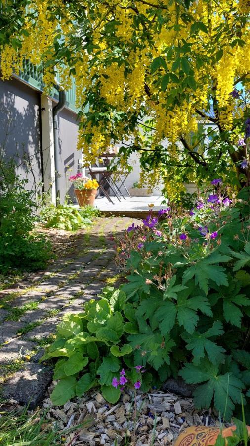 Old Charm Apartment - Keflavik Downtown Exterior photo